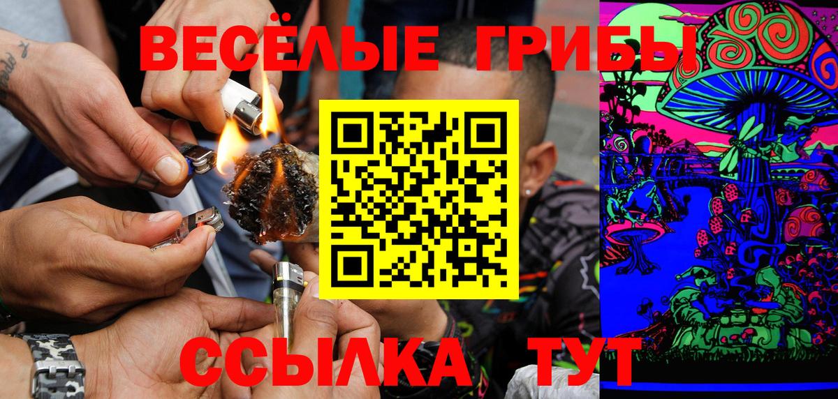 Псилоцибиновые грибы Cubensis Саяногорск
