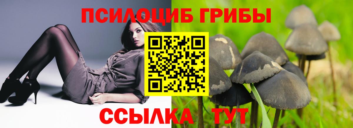 где найти   Псилоцибиновые грибы мухоморы  Вход с VPN  Саяногорск 